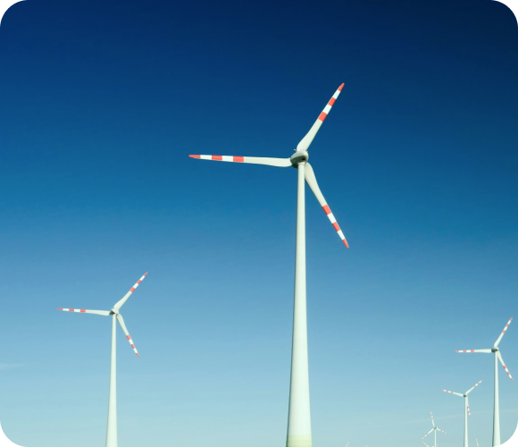 Energy & IoT industry expertise